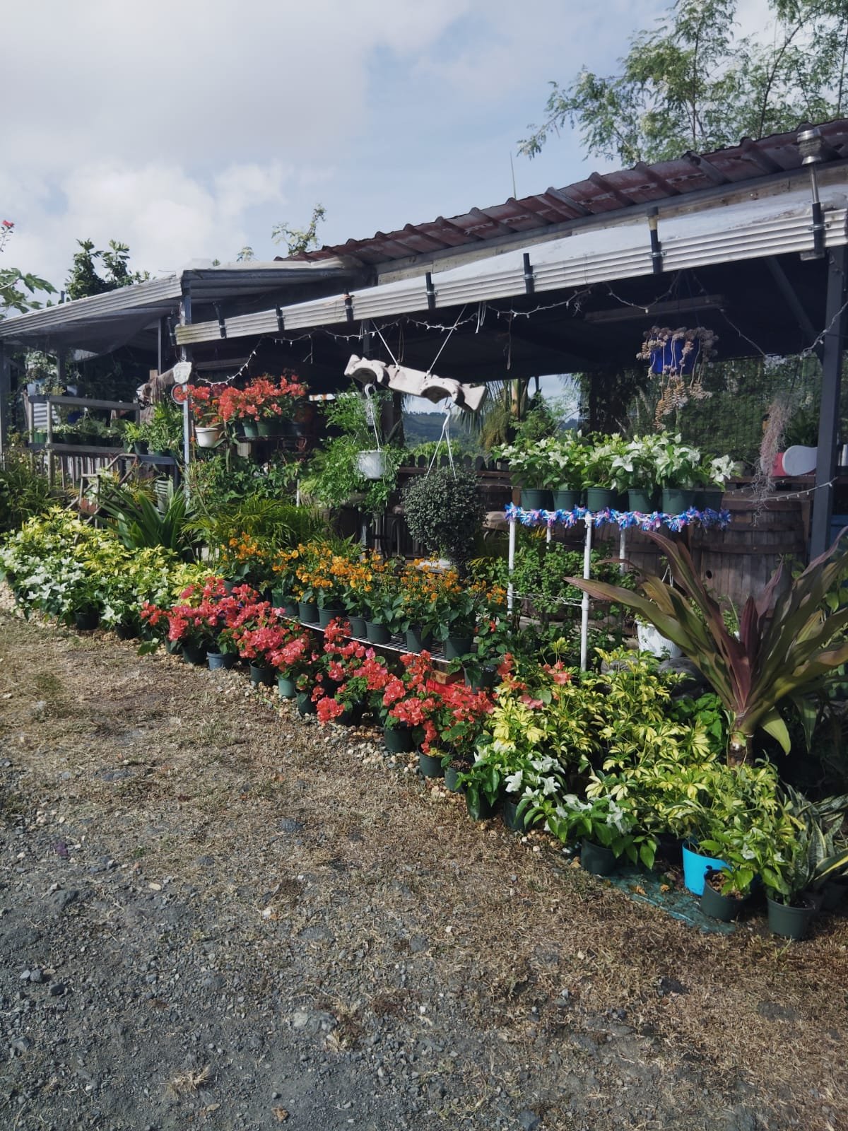 Vivero La Familia(14)